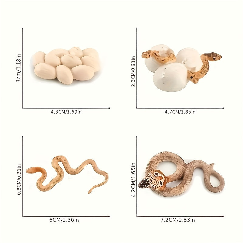 Snake Growth Cycle Sensory Toy with Habitat