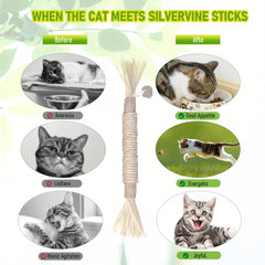 Silvervine Chew Stick Catnip Toy for Teeth Cleaning & Fun