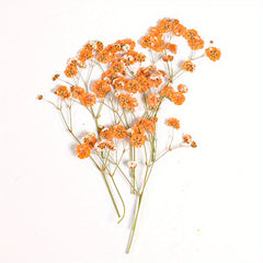 10 Pcs Natural Gypsophila Bouquet for Decor & Photography