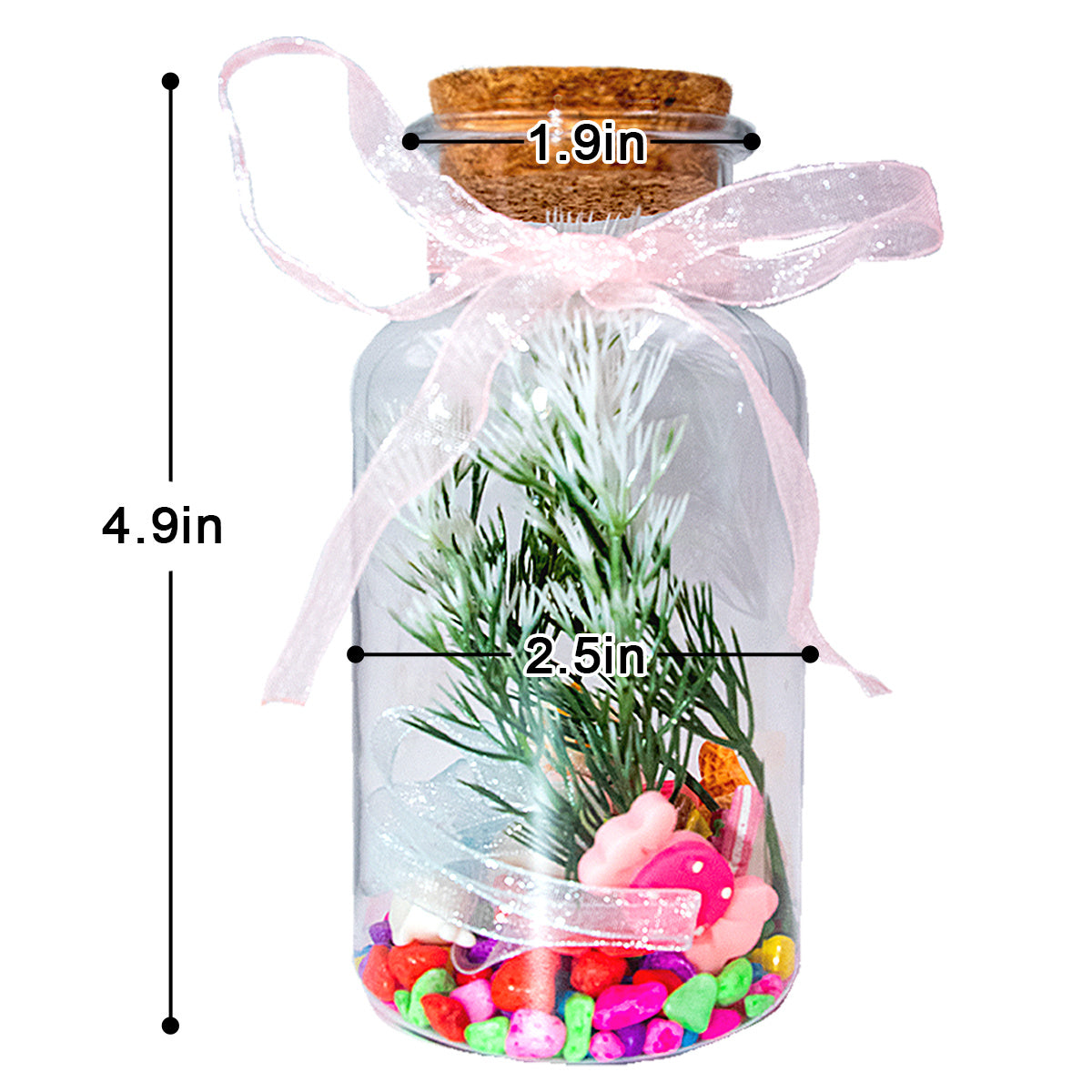 3 in 1 DIY Terrarium Kit Create Your Own Mini Garden with Bottles Rocks Decor