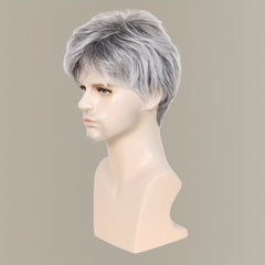 Silver Gray 8 Inch Synthetic Hair Wig With Bangs