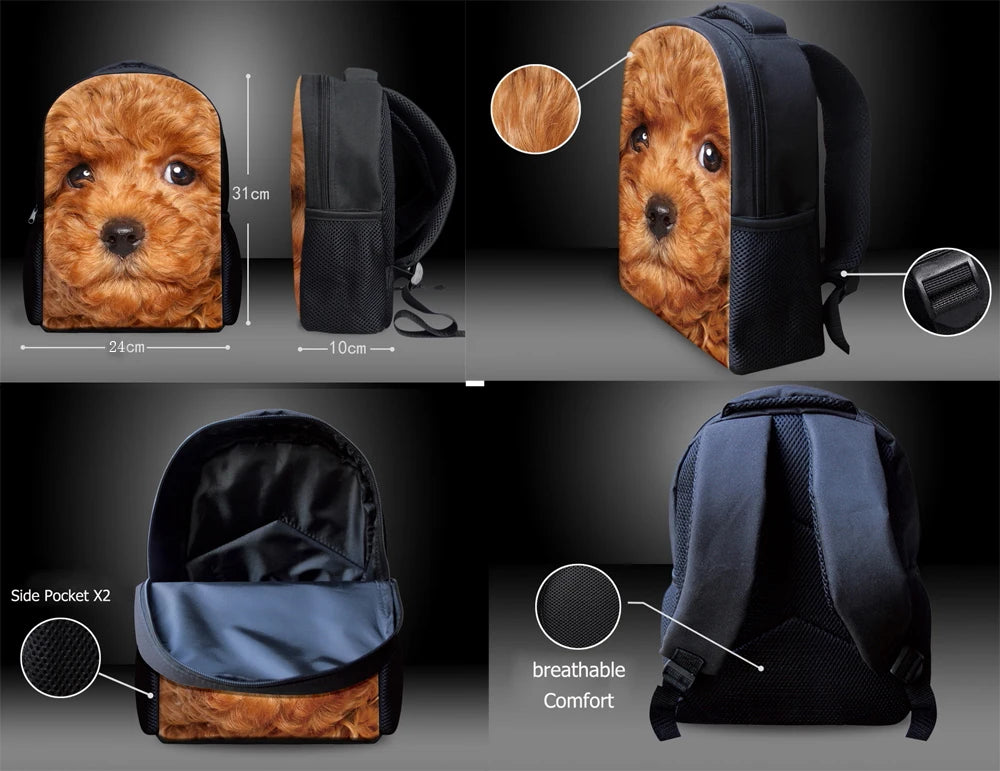 Dinosaur Preschool Packie Backpack for Kids Boys Shark bag
