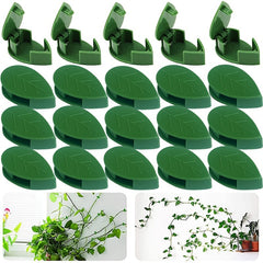 Invisible Plant Climbing Wall Fixture Rattan Vine Bracket Fixed Buckle