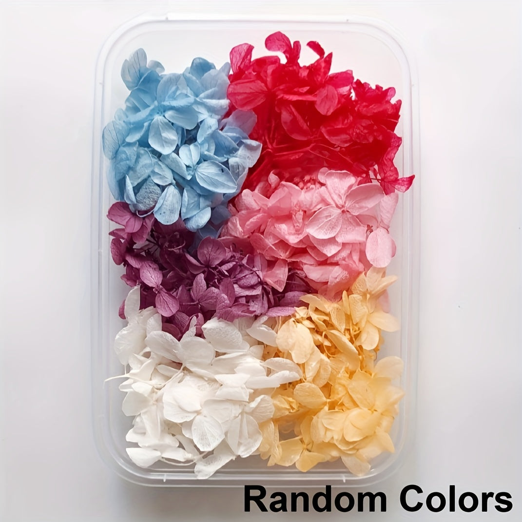 Real Dried Flower Resin Mold Fillings UV Epoxy Jewelry Craft DIY Supplies