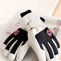 Winter Skiing Gloves for Men Women Warm Waterproof Touch Screen