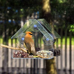 Acrylic Parrot Bird House Outdoor Feeder