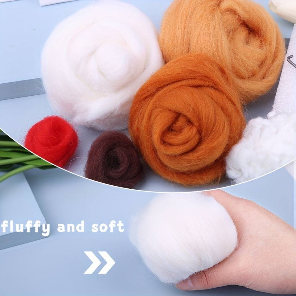 Needle Felting Starter Kit with Instructions