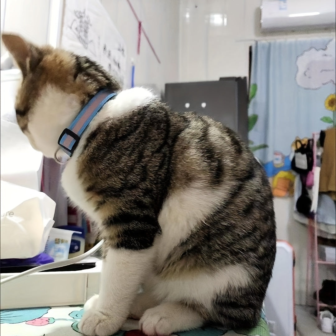 Reflective Pet Collar with Bell for Dogs and Cats