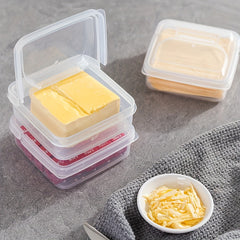 Cheese Storage Box With Lid Fresh keeping Organizer