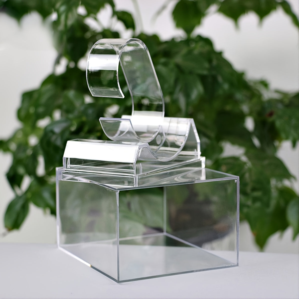 Transparent Watch Storage Display Box