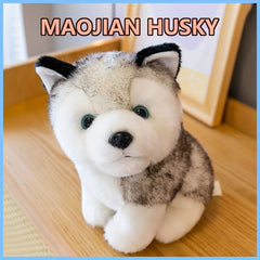 Husky Plush Toy Maojian Dog Long Plush Animal Doll Gift