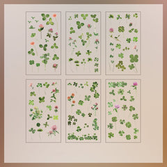 6pcs Nature Book Series Scrapbook Sticker Pack Plant Flower Retro Paper