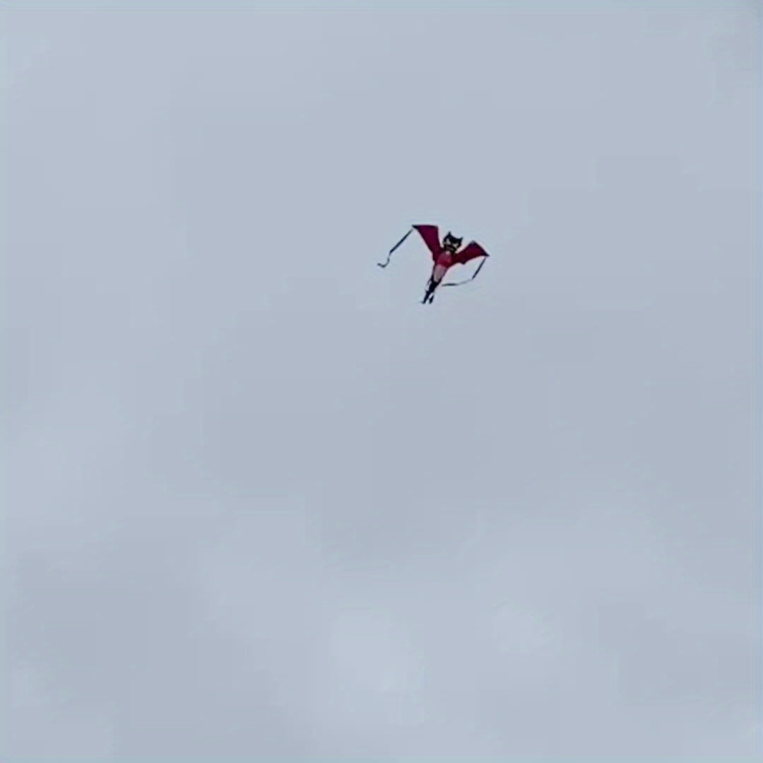 Animals Kite for Beach Park Yard Outdoor Entertainment