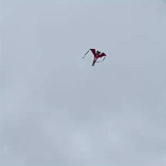 Animals Kite for Beach Park Yard Outdoor Entertainment