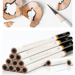 12pcs Sketch Charcoal Pencil Set Art Student Exclusive Sketch
