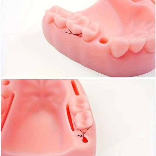 Dental Suture Practice Model With Base Teeth Module
