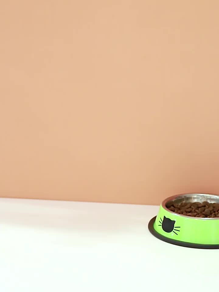 Stainless Steel Cat Bowl Non Slip Base Easy to Clean