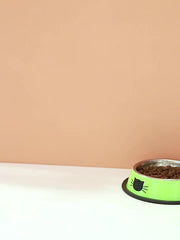 Stainless Steel Cat Bowl Non Slip Base Easy to Clean