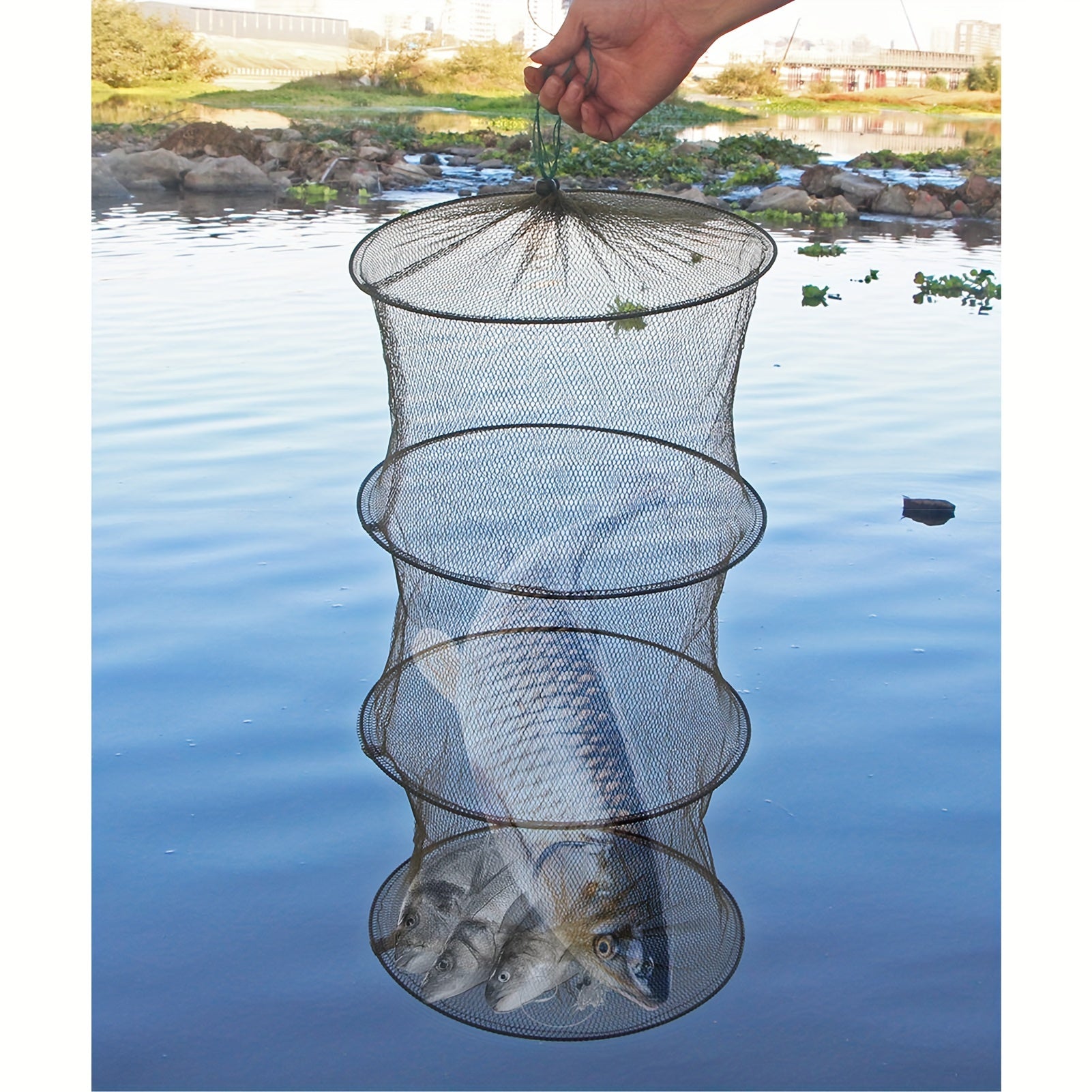 Collapsible Fishing Cage Trap for Crab Lobster Shrimp