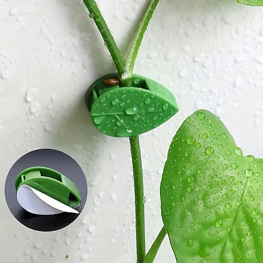 10pcs Plant Climbing Fixture Clips with 12pcs Adhesive Sticker