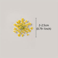20pcs Natural Snowflake Dry Flower Embossing DIY Decorations