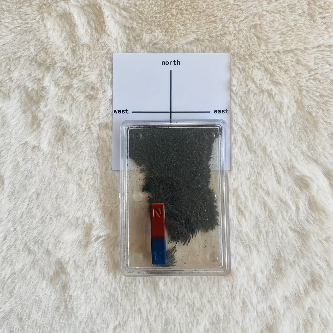 Magnetic Field Demonstration Kit with Iron Powder Magnets