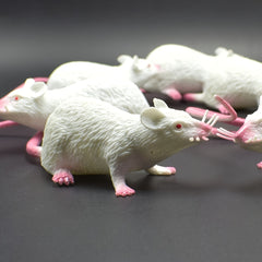 3pcs Mini Mouse Pups Realistic Plastic Toys Grey Fur Pink Accents Glowing Eyes