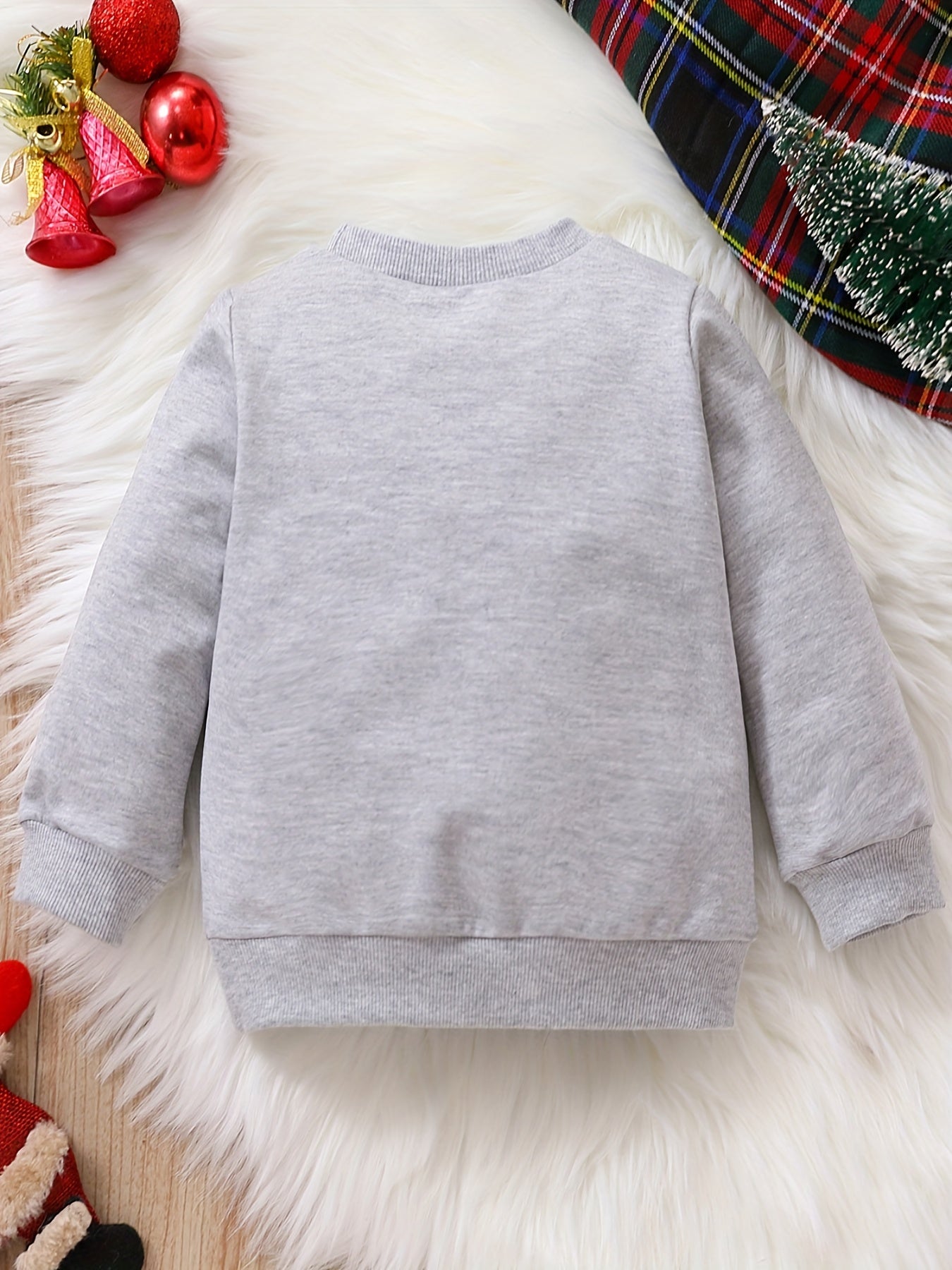 Baby Boy's Graphic Long Sleeve Crew Neck Sweatshirt