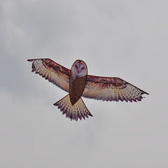 Brown Owl Kite With D handle And Flying Lines
