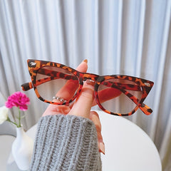 Cat Eye Vintage Ladies Oversized Sunglasses Sun Protection Tinted Lenses