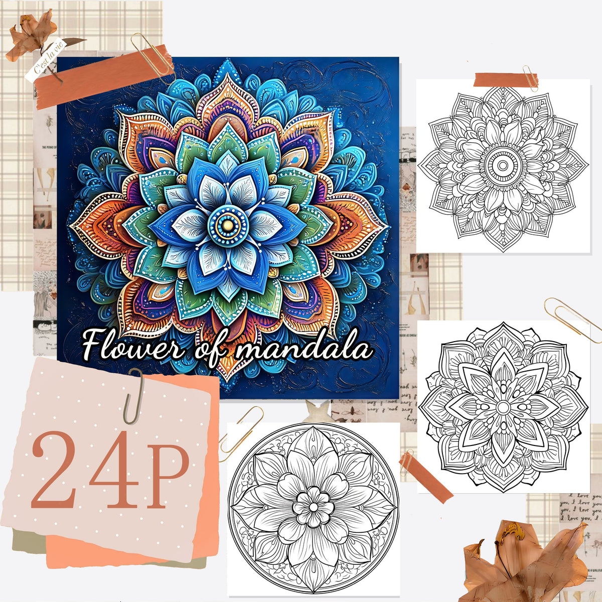 Deluxe Mandala Coloring Book for Adults, 24 Pages, Ideal Gift for Holidays
