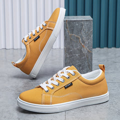 Men's Canvas Skate Shoes Casual Outdoor Walking Sneakers