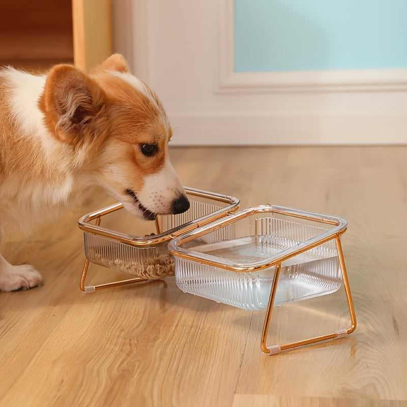 Transparent Double Cat Bowl for Easy Feeding and Hydration