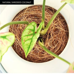 52oz 100g Coconut Palm Silk Bird's Nest Parrots Pet Nests Moisture Proof Mat