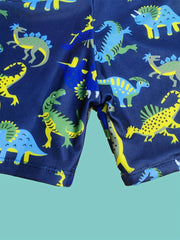 Boys Dinosaur Print 3pcs Swimsuit Set