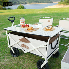 Portable Folding Wagon Cart for Picnic