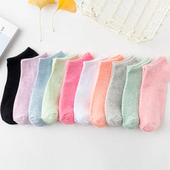 10 Pairs Women's Cotton No Show Socks