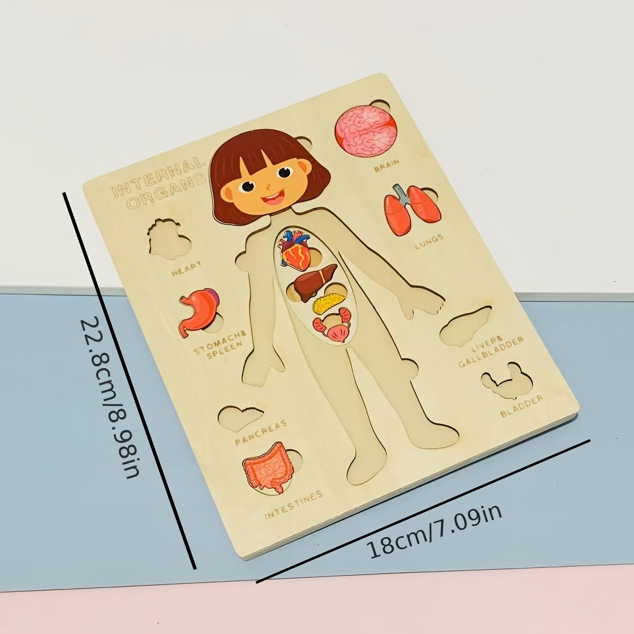 Wooden Human Body Puzzle for Kids Educational Toy