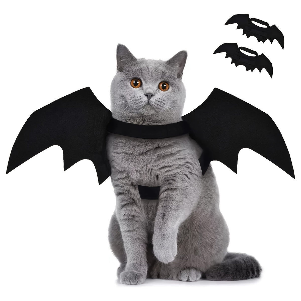 Adorable Bat Wings for Your Pet this Halloween