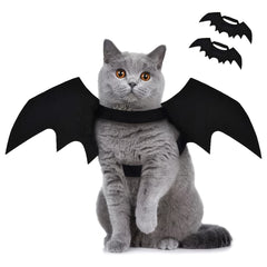 Adorable Bat Wings for Your Pet this Halloween