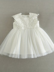 Baby Girls Floral Embroidered Princess Dress