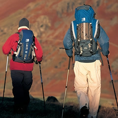Shock Absorbing T handle Trekking Poles
