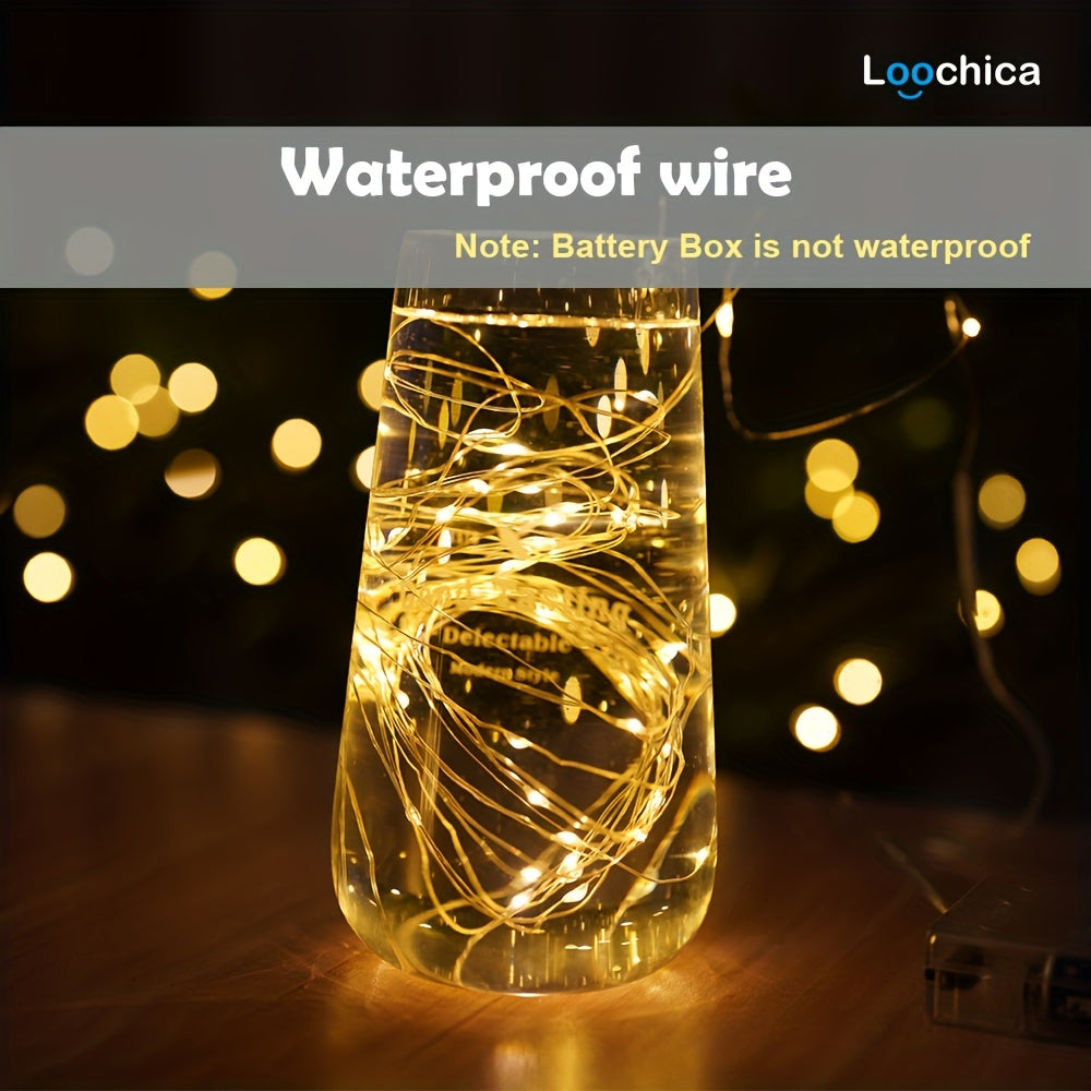 Loochica Photo Clip String Lights with 30 Clear Clips for Hanging Pictures