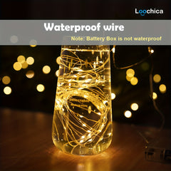 Loochica Photo Clip String Lights with 30 Clear Clips for Hanging Pictures