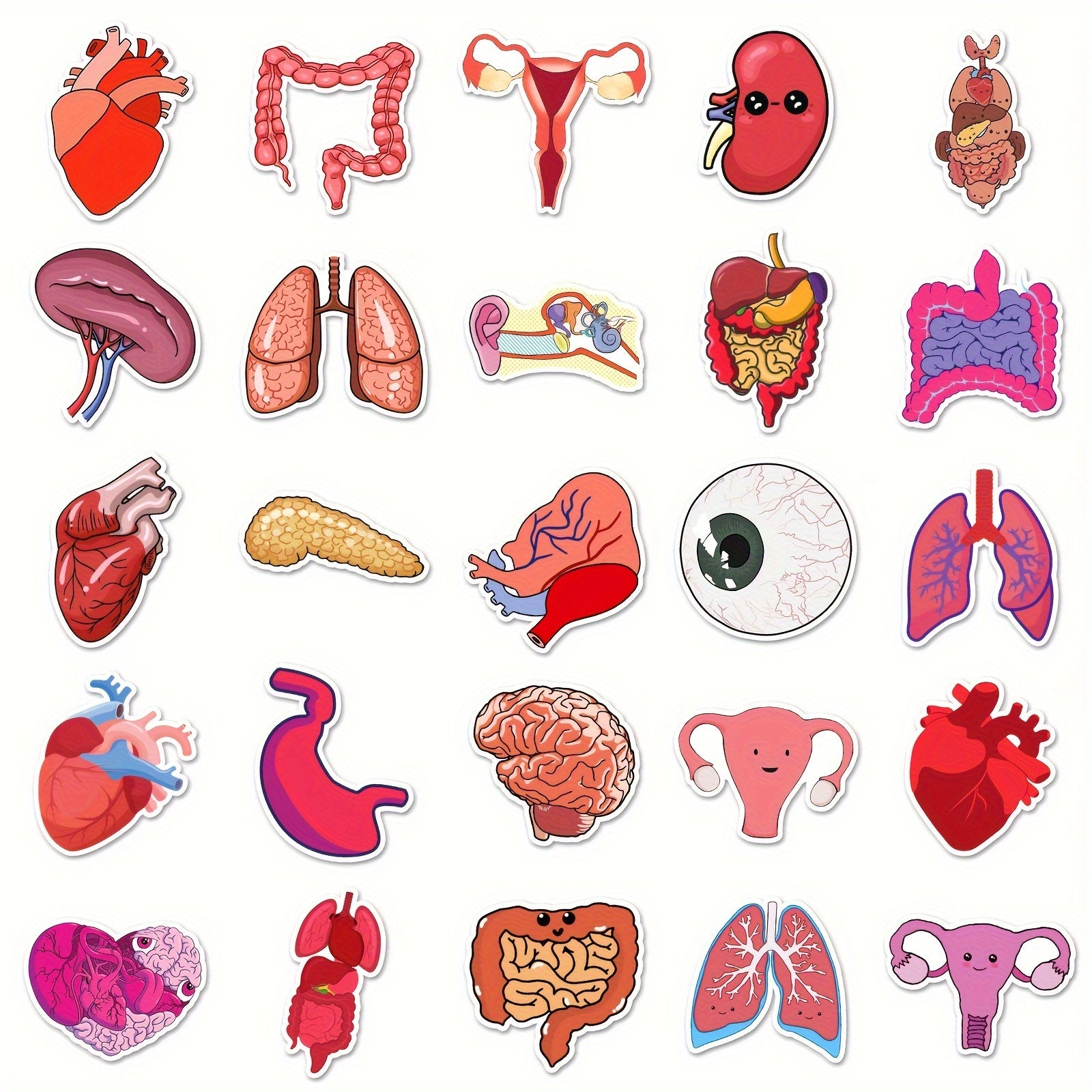 50pcs Human Biology Stickers Waterproof Scrapbook Laptop Skateboard