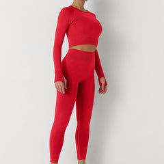 2pcs Seamless Skinny Stretchy Sports Yoga Suit