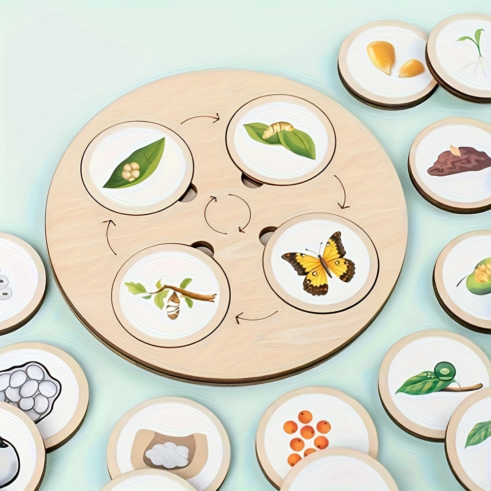 Wooden Life Cycle Board Game Kit for Ages 3 Biology Science Teaching Toy