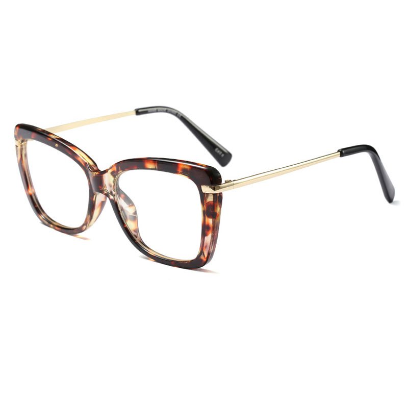 Cat Eye Clear Sunglasses Metal Legs Outdoor Eyewear