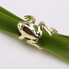 1pc Matching Frog Earring Men Women