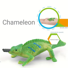 Wild Amphibians & Reptiles Toy Set for Kids